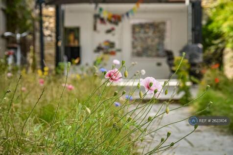 Garden Meadow 