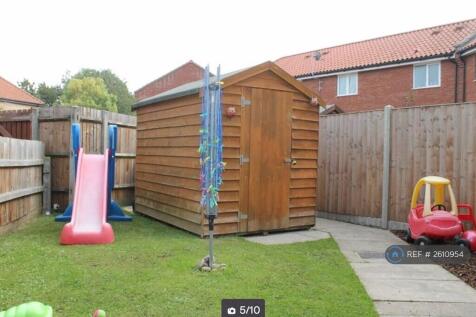 Back Garden And Shed