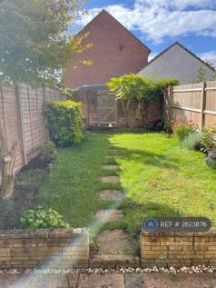 South Facing Garden