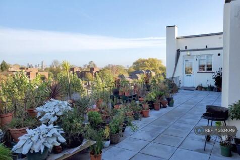 Roof Terrace