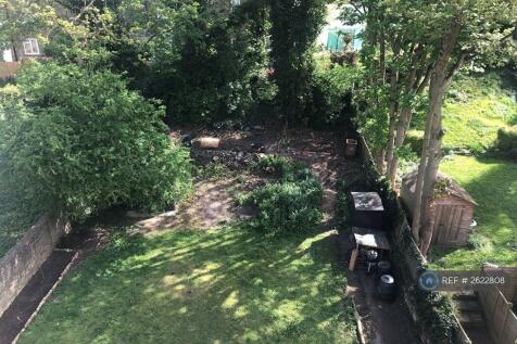 Back Garden