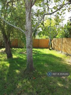 Large Back Garden