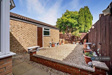 Back Garden