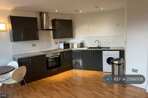 Kitchen Area/Living Area