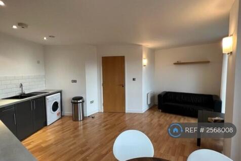 Kitchen Area/Living Area