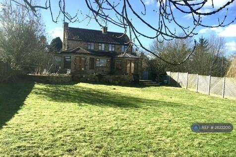 Back Garden
