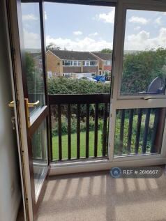 Lounge Patio Door