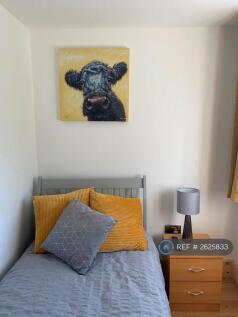 Single Bedroom