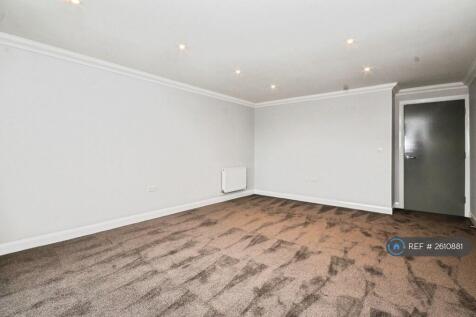 Spacious Living Area (2)