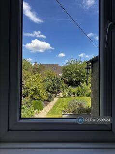 View From The Sink