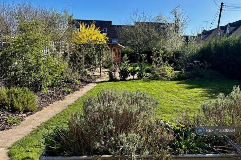 Back Garden