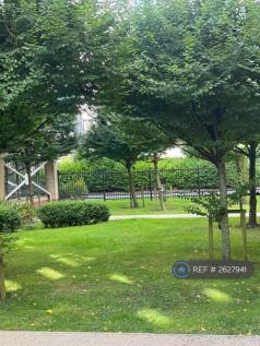 Communal Garden