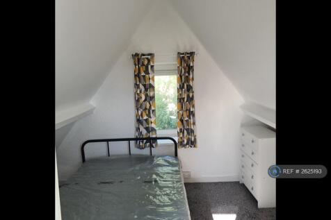Bedroom - Main Area