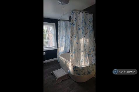Bath &#43; Shower 