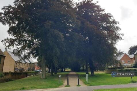 Surrounding Area Has Tree Lined Footpaths