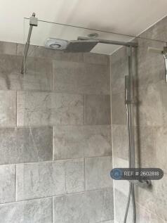 Rain Shower