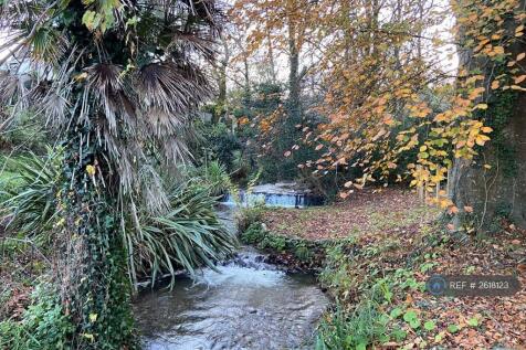 Brook