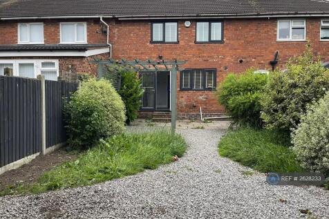 Back Garden