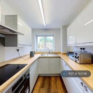 Modern Kitchen