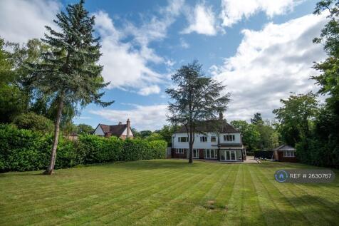 Property Image 15