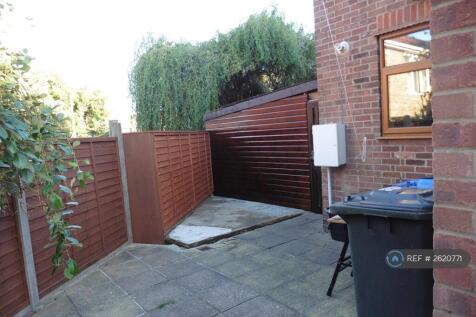 Back Garden