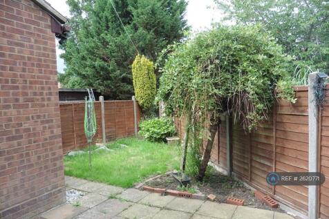 Back Garden