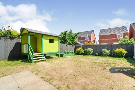 Back Garden