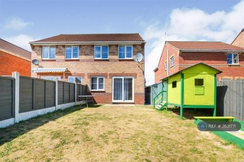 Back Garden