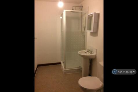 Modern Shower Room