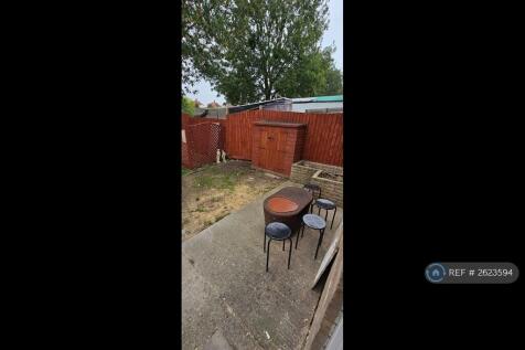 Back Garden