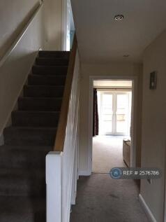 Downstairs Hallway