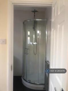 Downstairs Shower