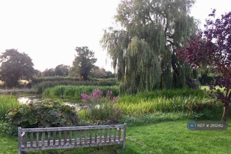 Village Pond, Skipwith