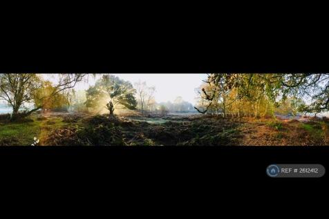 Skipwith Common