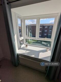 View From The Window In The Living Room