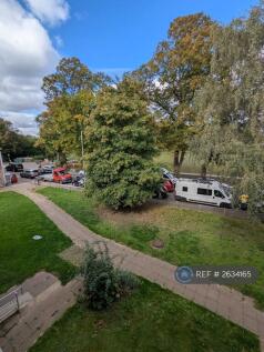 View From The Second Bedroom/ Fairfield Park 