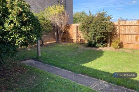 Back Garden