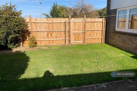 Back Garden