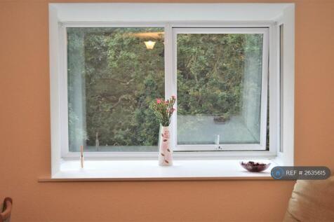 Lounge Window View 1