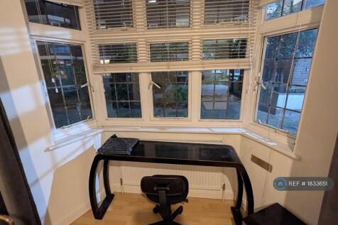 Study Area
