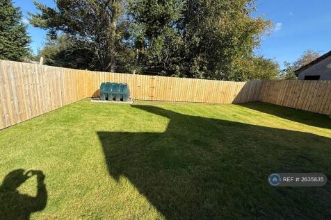 Back Garden 