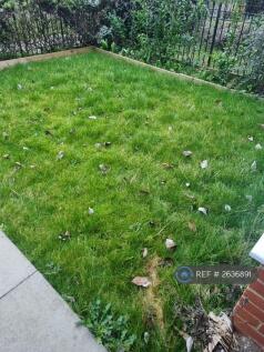 Front Lawn