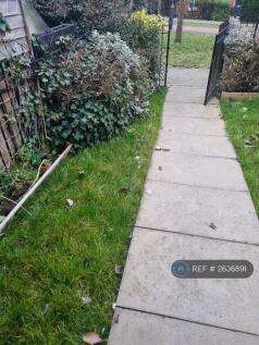 Walkway To House 