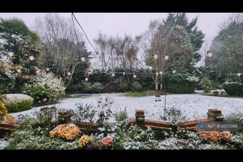 Trampoline - Winter