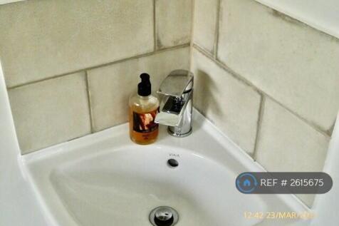Cloak Room Sink