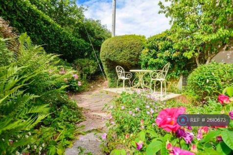 Back Garden