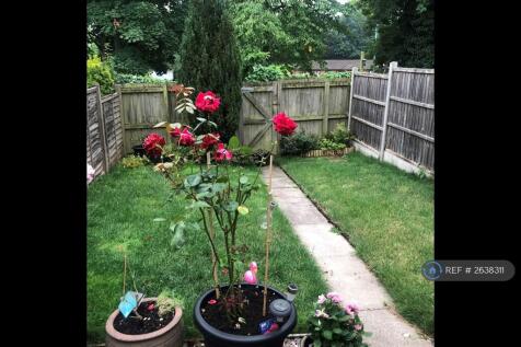 Back Garden