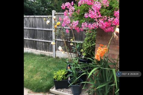 Back Garden
