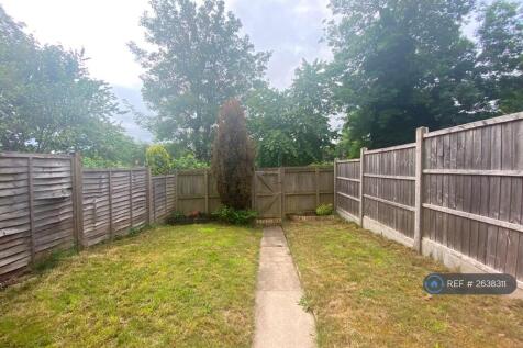 Back Garden