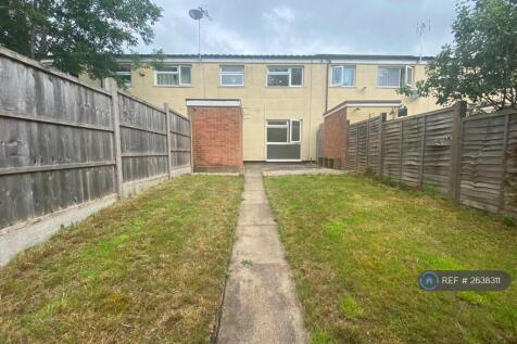 Back Garden